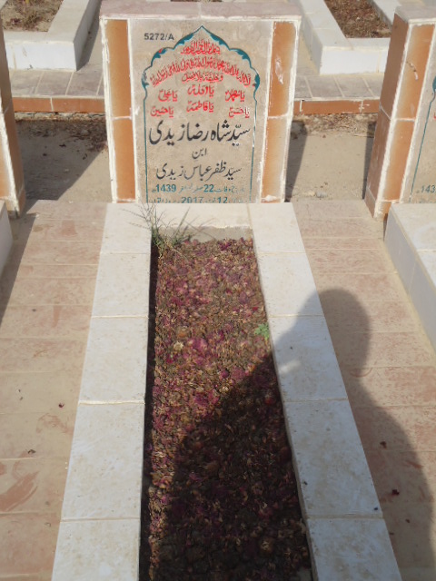 15272 – Syed Shah Raza Zaidi
