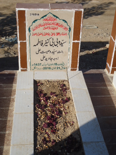 13165 – Syeda Bibi Kaneez Fatima