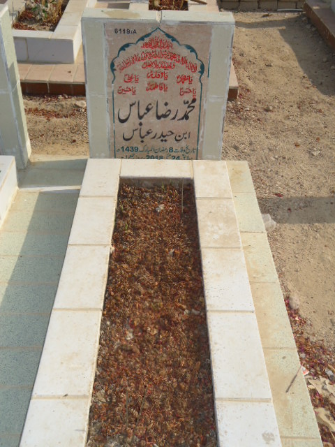 16119 – Muhammad Raza Abbas