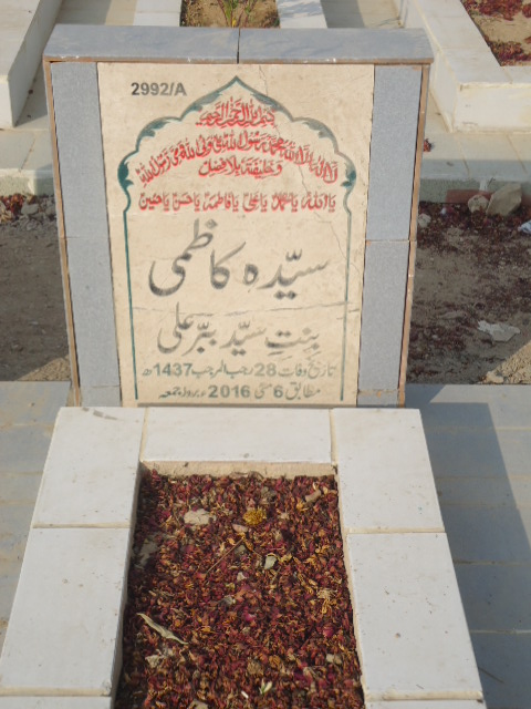 12992 – Syeda Kazmi