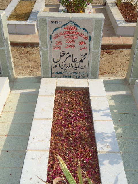 16076 – Muhammad Amir Mughal