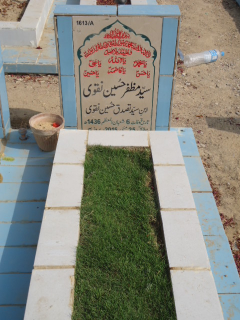 11613 – Syed Muzafar Hussain Naqvi