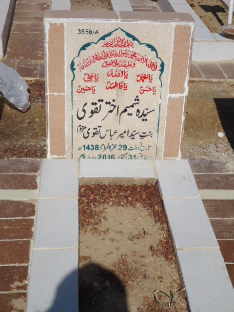 13656 – Syeda Shamim Akhtar Taqvi