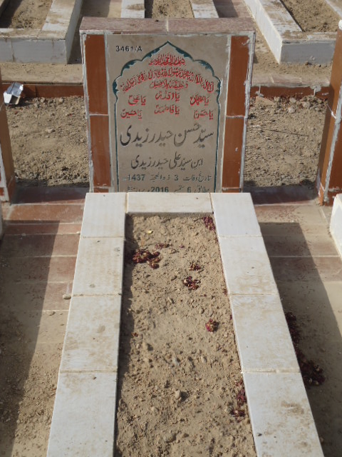 13461 – Syed Hassan Haider Zaidi