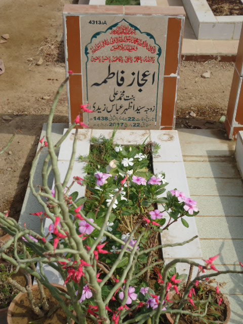 14313 – Ijaz Fatima