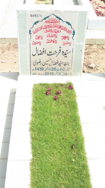 16483 – Syeda Farhat Zehra