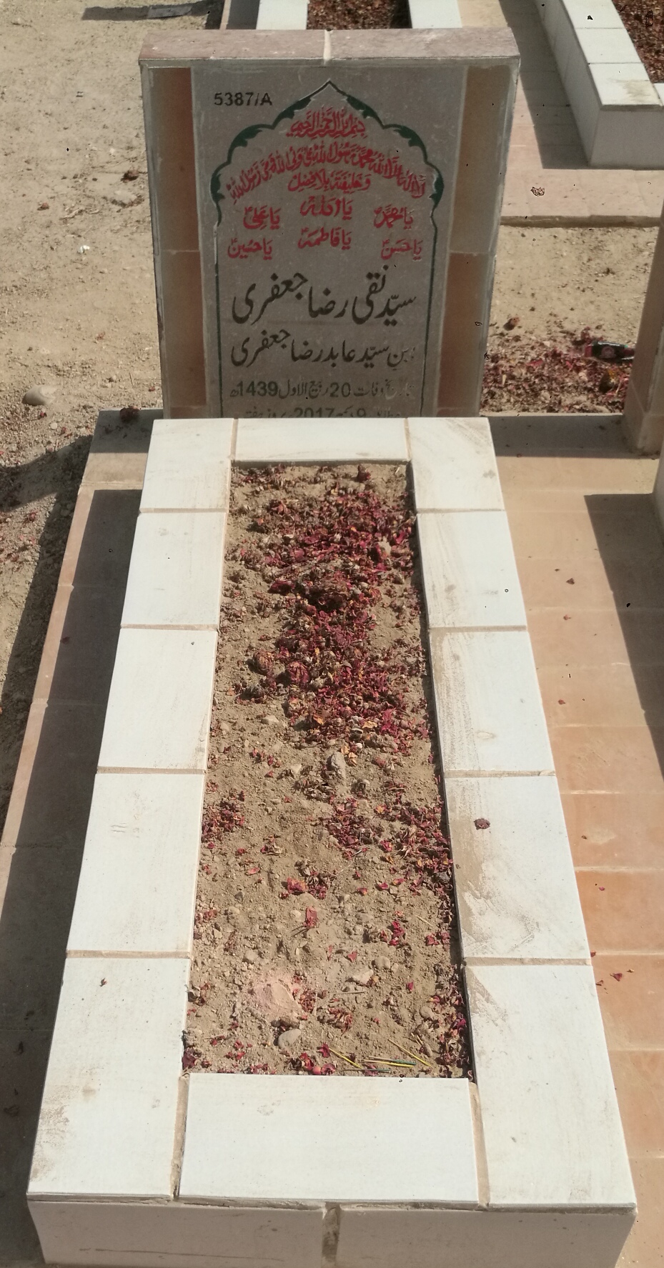 15387 – Syed Naqi Raza Jaffery