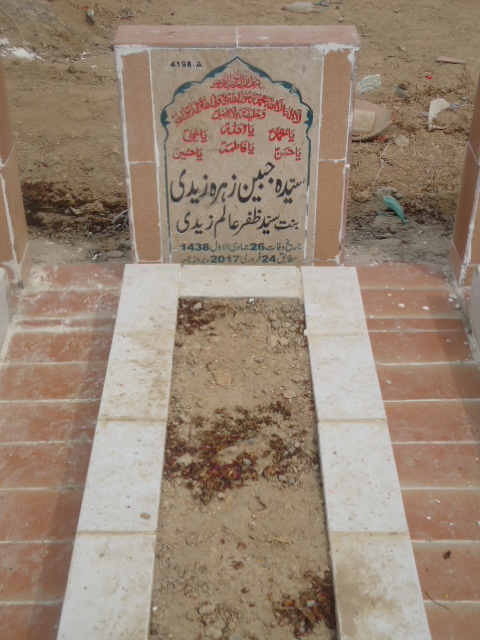 14198 – Syeda Jabeen Zehra Zaidi