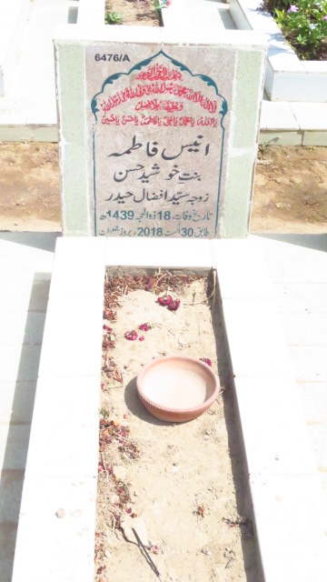 16476 – Anees Fatima