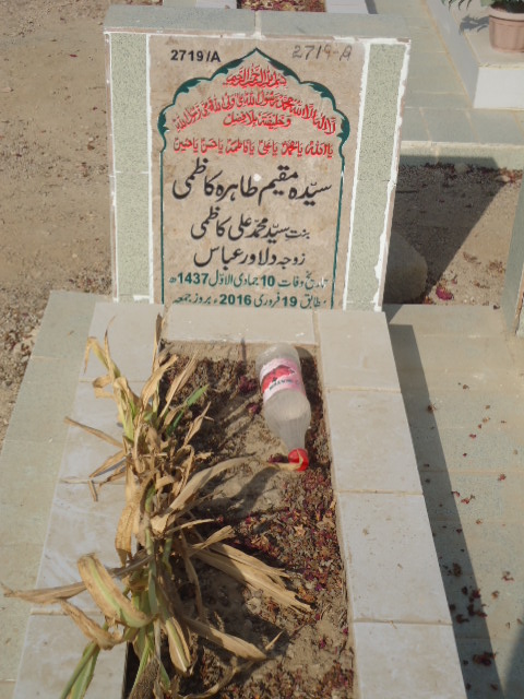 12719 – Syeda Muqeem Zahira Kazmi