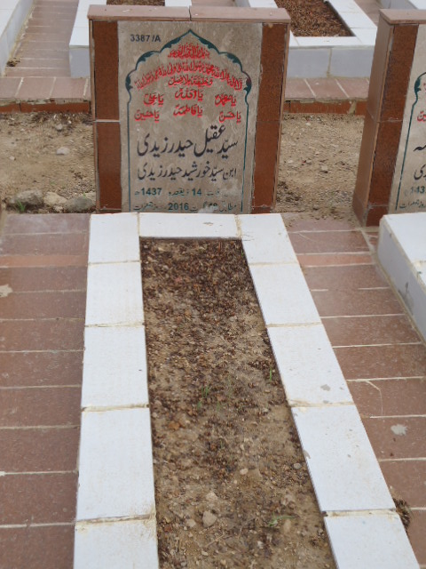 13387 – Syed Aqeel Haider Zaidi