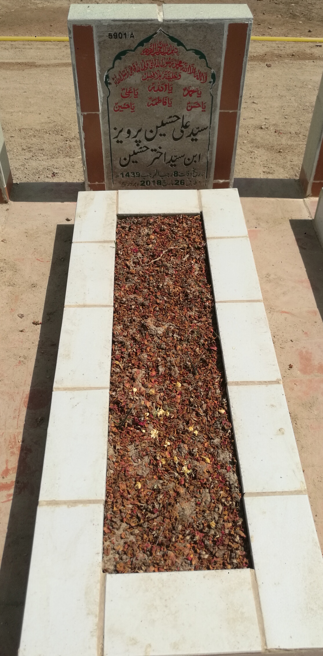 15901 – Syed Ali Hussain Pervaiz