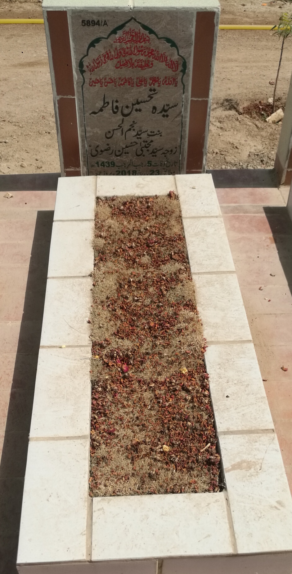 15894 – Syeda Tehseen Fatima