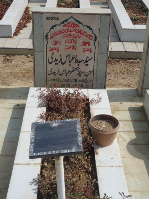 12507 – Syed Sibte Abbas Zaidi