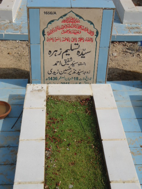 11656 – Syeda Tasleem Zehra