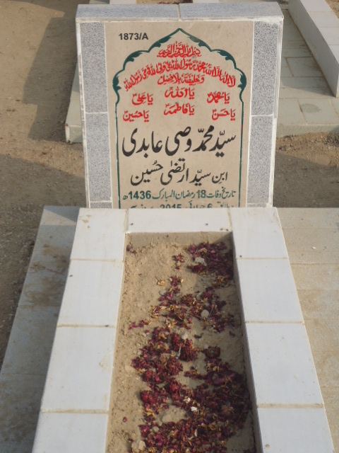 11873 – Syed Muhammad Wasi Abidi