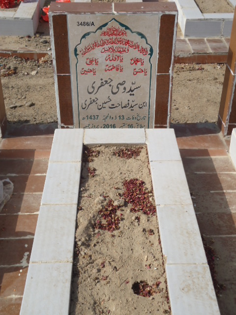 13486 – Syed Wasi Jaffery