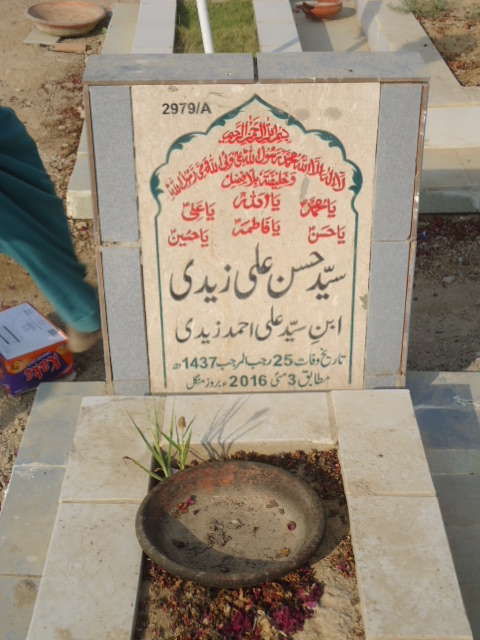 12979 – Syed Hassan Ali Zaidi