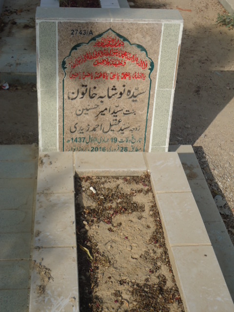 12743 – Syeda Noushaba Khatoon