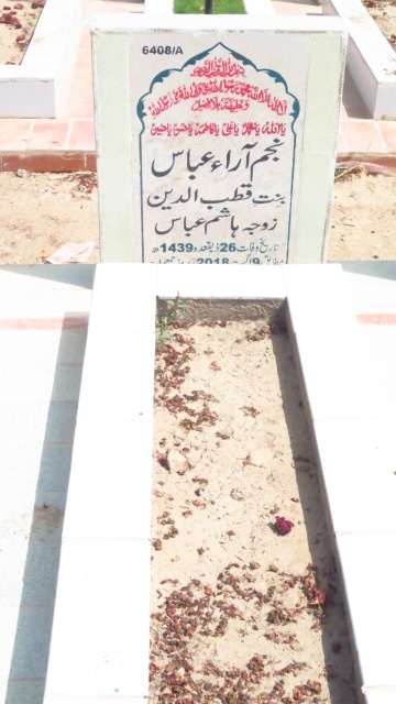 16408 – Najam Araa Abbas