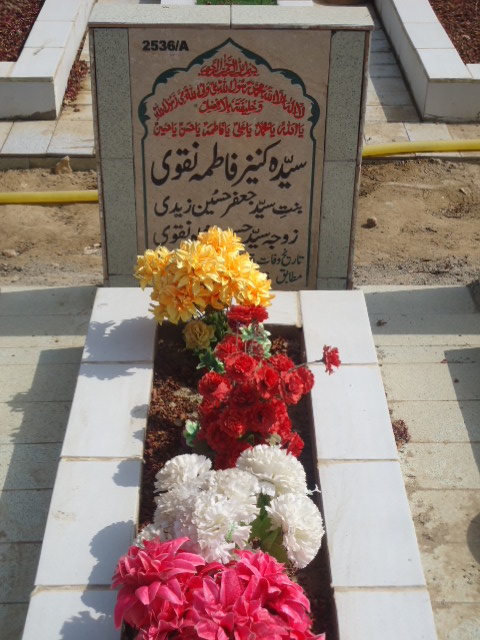 12536 – Syeda Kaneez Fatima Naqvi