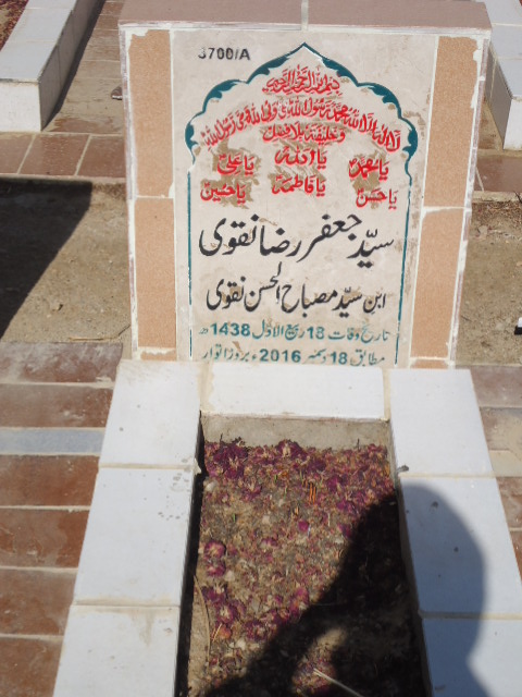 13700 – Syed Jaffar Raza Naqvi