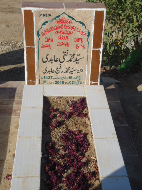 13163 – Syed Muhammad Naqi Abidi