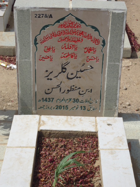 12278 – Hussain Gulraiz