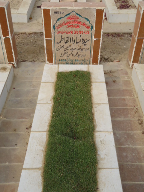 15577 – Syeda Nasa Ul Fatima