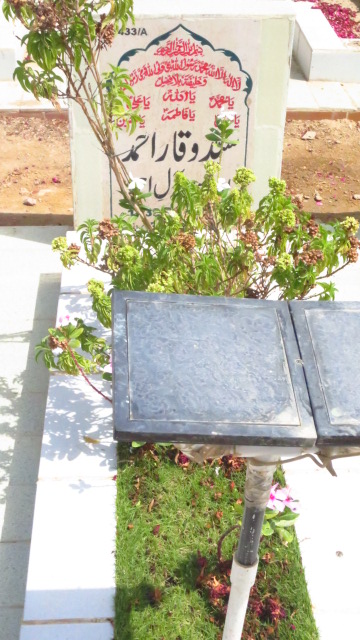 16433 – Syed Waqar Ahmed