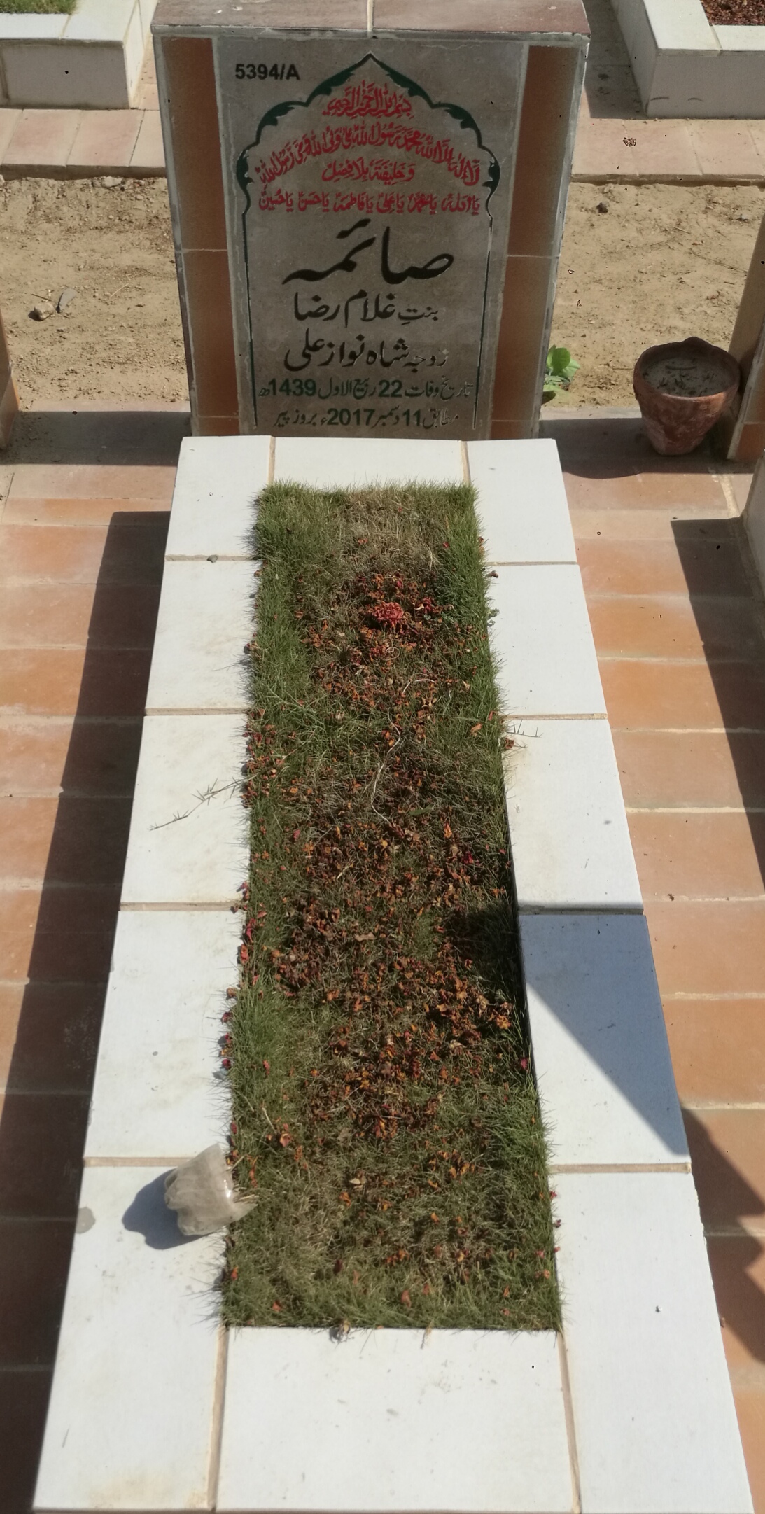 15394 – Saima