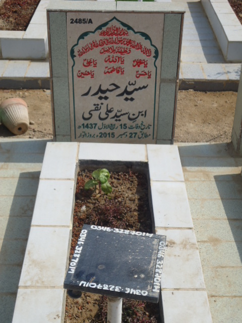 12485 – Syed Haider