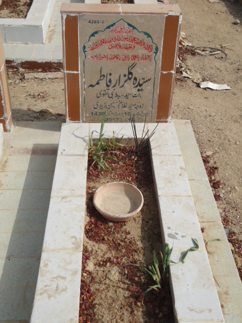 14265 – Syeda Gulzar Fatima