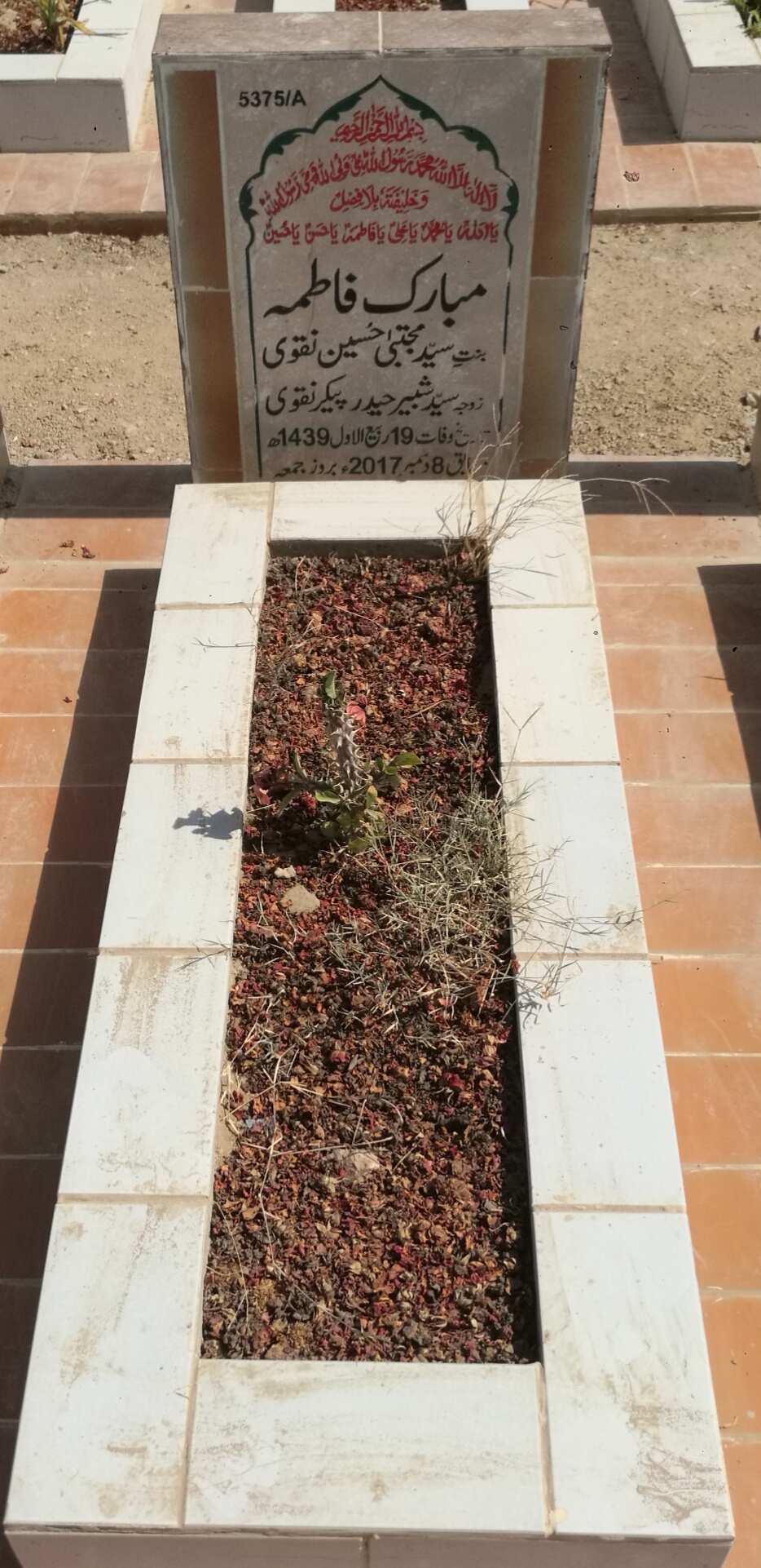 15375 – Mubarak Fatima