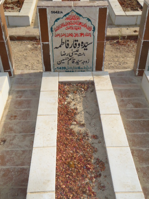 15642 – Syeda Waqar Fatima