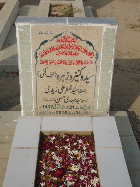 12863 – Syeda Kaneez Zehra