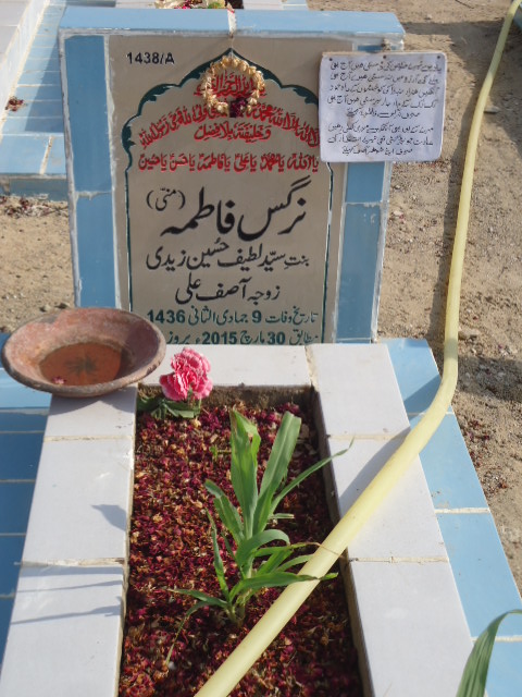 11438 – Nargis Fatima