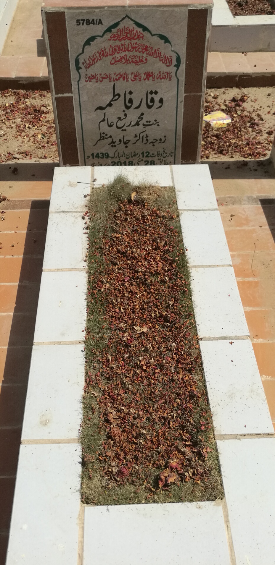 15784 – Waqar Fatima