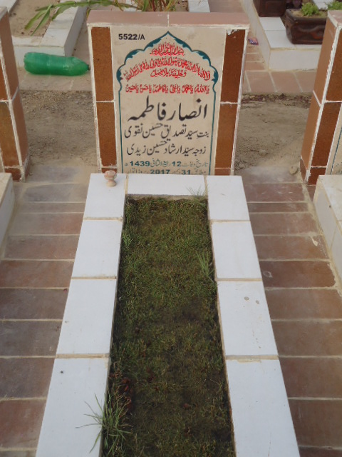 15522 – Ansar Fatima