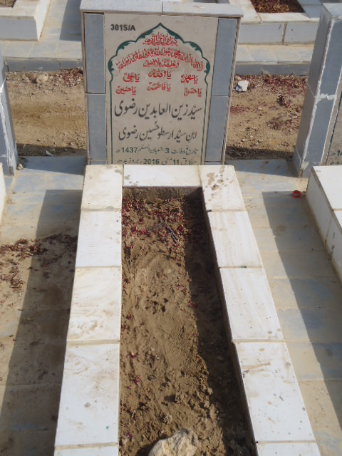 13015 – Syed Zain Ul Abideen Rizvi