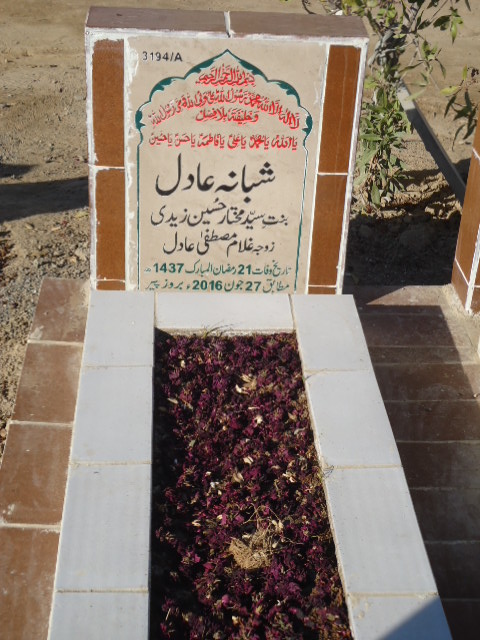 13194 – Shabana Adil