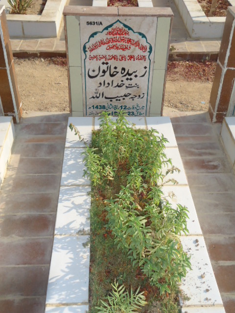 15631 – Zubaida Khatoon