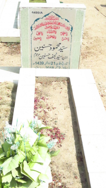 16499 – Syed Mehmood Hasnain