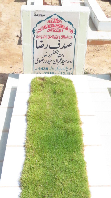 16425 – Sadaf Raza