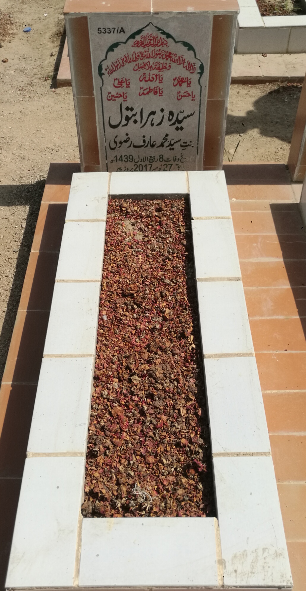 15337 – Zehra Batool