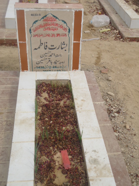 14033 – Basharat Fatima