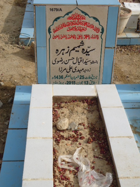 11679 – Syed Shamim Zehra