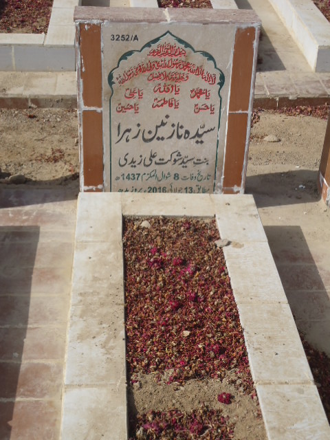 13252 – Syeda Nazneen Zehra