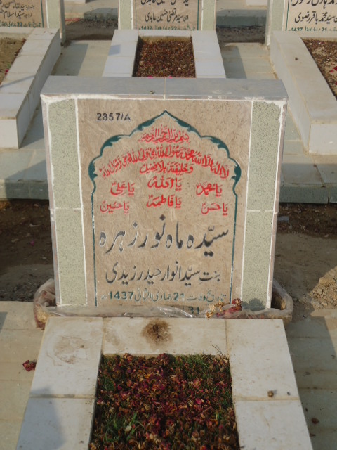 12857 – Syeda Mahnoor Zehra
