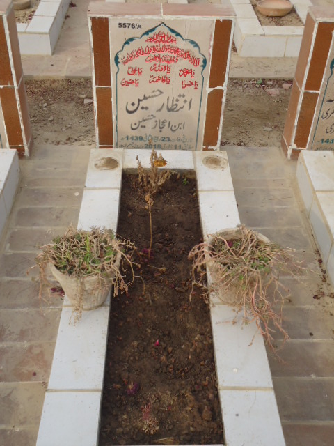 15576 – Intezar Hussain